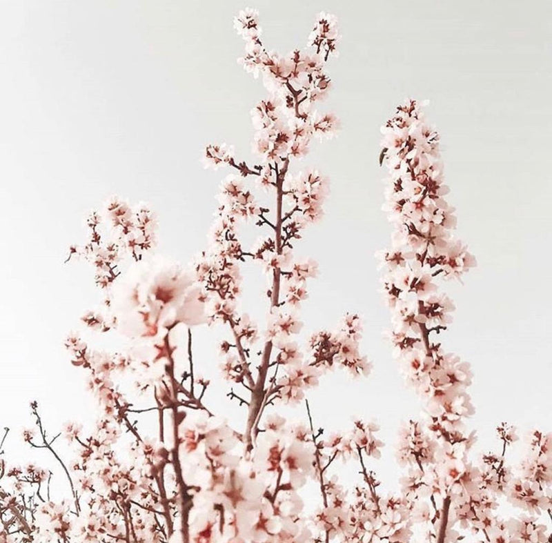 A letter for my daughter